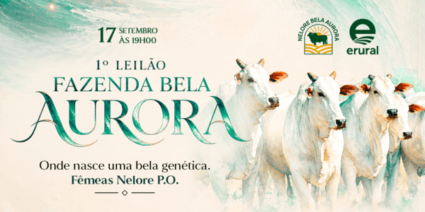 O futuro do seu rebanho está aqui!