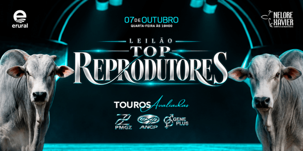 O futuro do seu rebanho começa aqui, dê o próximo passo para o sucesso na pecuária!