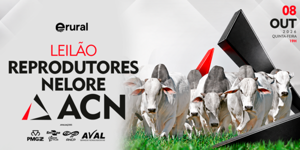 LEILÃO REPRODUTORES - NELORE ACN 08.10